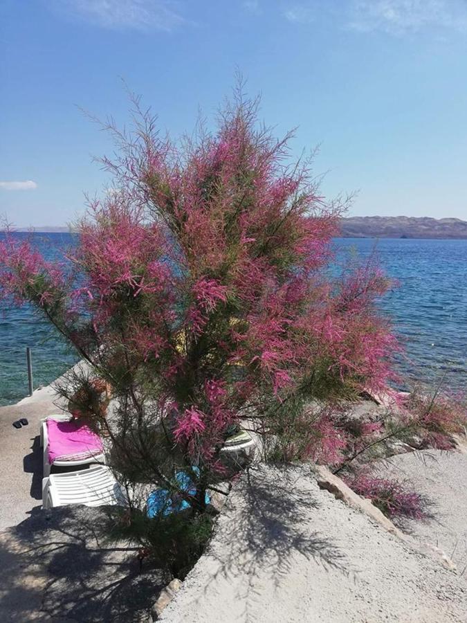 Apartmani Ivankovic Karlobag Εξωτερικό φωτογραφία
