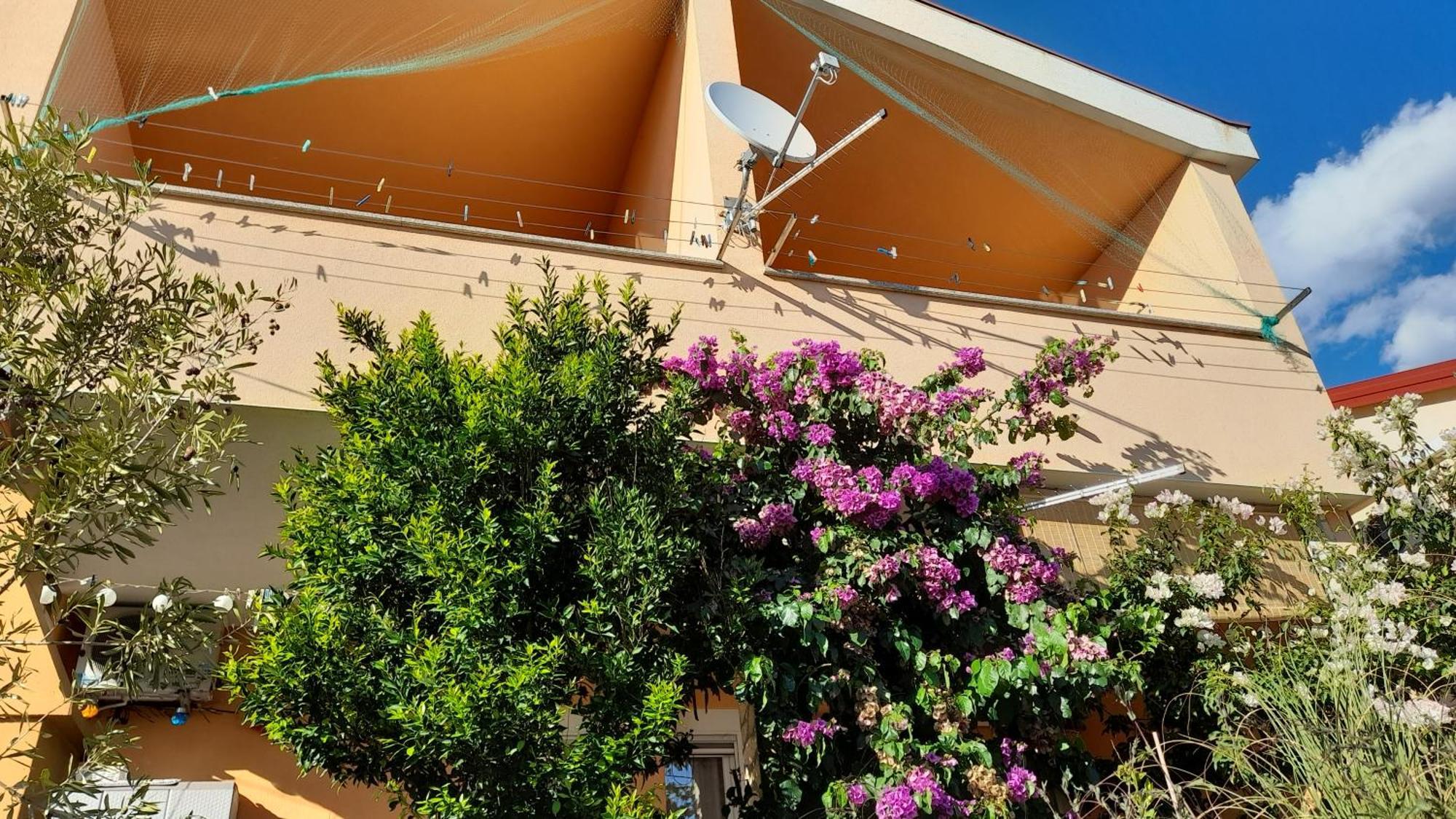 Apartmani Ivankovic Karlobag Δωμάτιο φωτογραφία